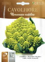 カリフラワー・ロマネスコ（黄緑サンゴ）　Romanesco natalino　3g　