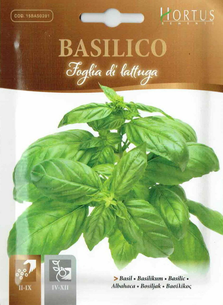 【HORTUS社】バジル（バジリコ）　FOGLIA DI LATTUGA　5g　[0281][COD.BSOBAS002]【郵送対応】