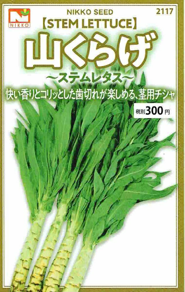 日光種苗　山くらげ　（やまくらげ・ヤマクラゲ・ケルン・茎レタス・ステムレタス）　1ml　【2117】【春・秋】 【郵送対応】