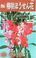 https://thumbnail.image.rakuten.co.jp/@0_mall/nikkoseed/cabinet/seeds/n/housenka1.jpg