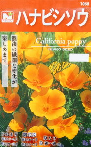 日光種苗　ハナビシソウ（花菱草、はなびしそう、カリフォルニアポピー）のタネ［内容量:0.5ml］