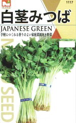 https://thumbnail.image.rakuten.co.jp/@0_mall/nikkoseed/cabinet/seeds/n/imgrc0080972745.jpg