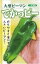 フタバ種苗 大型ピーマン でかっピー 0.3ml 550円