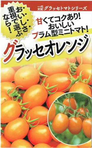 フタバ種苗　ミニトマト　グラッセオレンジ　約20粒【郵送対応】