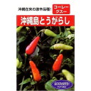 フタバ種苗 沖縄島とうがらし 2ml【郵送対応】