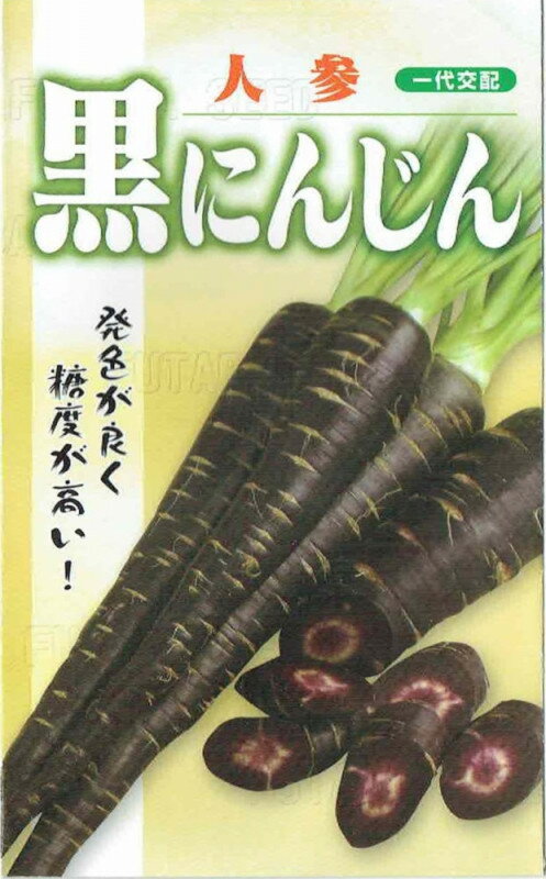 フタバ種苗 黒にんじん コート種子約300粒【郵送対応】