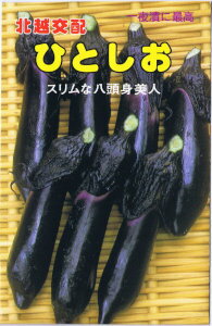 スリムな八頭身美人北越交配　なす　ひとしお特性・草姿は立性で草丈は高く、枝条の伸びが良好な中早生品種である。・果は8〜10cmの長さで採ると、中長のスマートな形となる。果色は光沢の有る濃黒紫色。ごく薄皮・軟肉質・多汁質で、一夜漬に最適。・病気に強く、高温下でも旺盛に生育し、果の光沢が落ちない。栽培のポイント・無理な早まき、早植えはさける。・低温期の下段着果は空洞のでることがある。※栽培暦は地方・気候により異なります。上記月日に頼らず貴地の気候に合わせて栽培してください。なす,ナス,茄子こちらの商品はご注文確認後にお取り寄せになる場合があります。お取り寄せの場合、商品の発送に1週間程度のお時間をいただきます。予めご了承の上、ご注文ください。