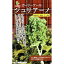 小林種苗 カリーノケール ジュリアーノ 約100粒【郵送対応】 517円