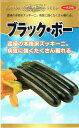 神田育種農場　ズッキーニ　ブラック・ボー　約10粒　【郵送対応】 その1