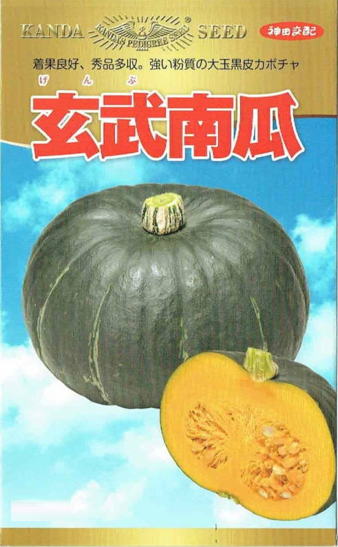 神田育種農場　かぼちゃ　玄武南瓜　[内容量：約13粒]
