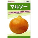 カネコ種苗　タマネギ　マルソー　20ml