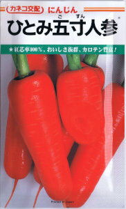 カネコ種苗　ひとみ五寸人参　[内容量：20ml]