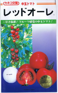 カネコ種苗　トマト　レッドオーレ　[内容量：12粒]