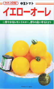 カネコ種苗　トマト　イエローオーレ　[内容量：13粒]