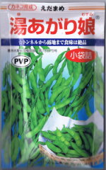 https://thumbnail.image.rakuten.co.jp/@0_mall/nikkoseed/cabinet/seeds/skn/skn0019.jpg