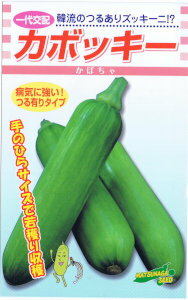 松永種苗　カボッキー約10粒 【郵送対応】のサムネイル