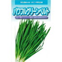 武蔵野種苗園 ニラ パワフルグリーンベルト 5ml 【郵送対応】【品種名:サントルベルト】