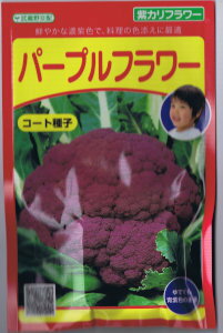 楽天日光種苗武蔵野種苗　紫カリフラワー・パープルフラワー　コート種子約1,000粒 【宅配対応】【お取り寄せ商品】