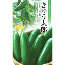 丸種 キュウリ きゅう太郎 6粒 【郵送対応】