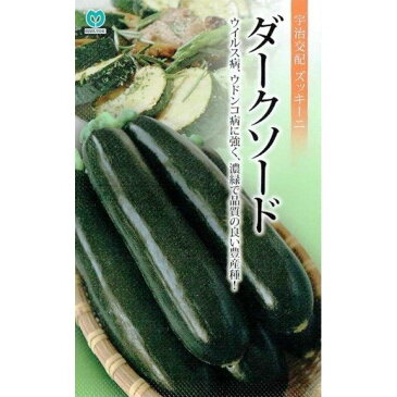 丸種 ズッキーニ ダークソード 約100粒【郵送対応】