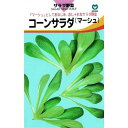 丸種 コーンサラダ(マーシュ) 2ml【郵送対応】