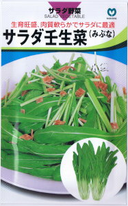 サラダ壬生菜 種