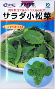 サラダ小松菜 種