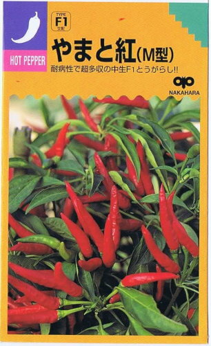 中原採種場 とうがらし やまと紅（M型） 約40粒【郵送対応】のサムネイル