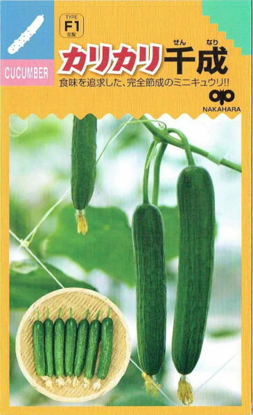 中原採種場　キュウリ　カリカリ千成　約8粒 【郵送対応】のサムネイル
