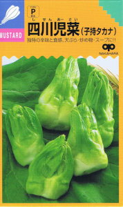 中原採種場　四川児菜（子持ちタカナ）　約200粒 【郵送対応】のサムネイル