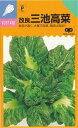 中原採種場 改良三池高菜(タカナ) 10ml【郵送対応】