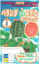 ナント種苗　スイカ　マリンレッド　約5粒【郵送対応】