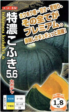 ナント種苗　カボチャ　特濃こふき5.6　約8粒【郵送対応】