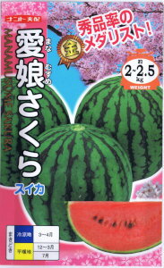 ナント種苗　スイカ・愛娘さくら 約7粒 【郵送対応】