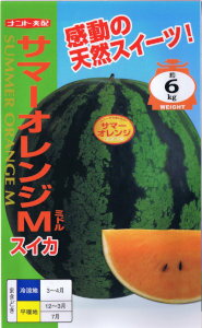 ナント種苗　スイカ　サマーオレンジミドル 約7粒 【郵送対応】