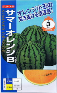 ナント種苗　スイカ　サマーオレンジベビー 約7粒 【郵送対応】