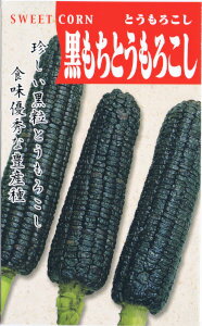 日本タネセンター　黒もちとうもろこし 40ml 【郵送対応】