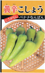 https://thumbnail.image.rakuten.co.jp/@0_mall/nikkoseed/cabinet/seeds/snt/snt0003.jpg