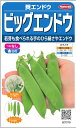 サカタのタネ 莢エンドウ ビッグエンドウ 20ml