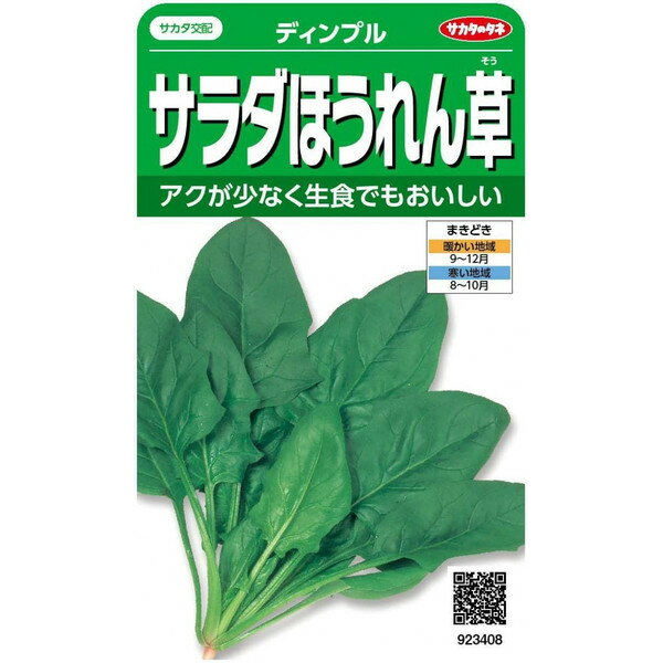 サカタのタネ　サラダほうれん草　ディンプル 25ml【郵送対応】のサムネイル