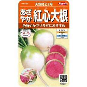 サカタのタネ　あざやか紅芯大根　天安紅芯2号 8ml【郵送対応】