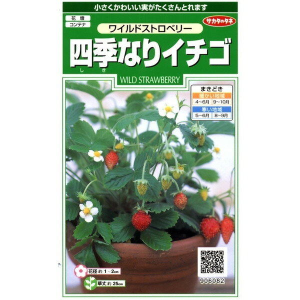 サカタのタネ 四季なりイチゴ 0.1ml【郵送対応】