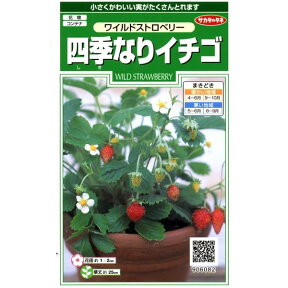 サカタのタネ　四季なりイチゴ 0.1ml【郵送対応】