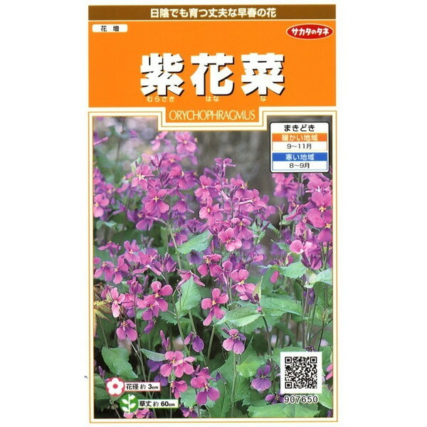 サカタのタネ　紫花菜 1ml【郵送対応】