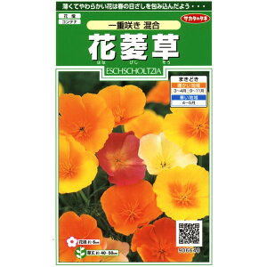 サカタのタネ　花菱草（はなびしそう、ハナビシソウ、カリフォルニアポピー）　一重咲き混合 0.5ml【郵送対応】