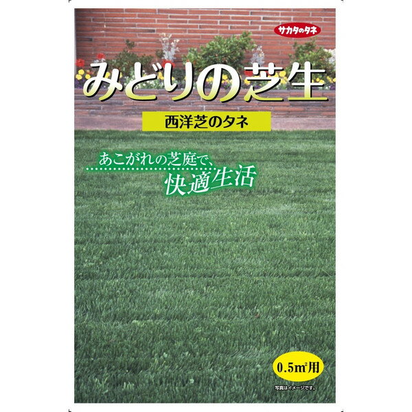 サカタのタネ　みどりの芝生 25g入