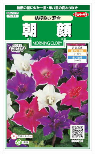 サカタのタネ　朝顔　桔梗咲き混合　1ml【郵送対応】のサムネイル