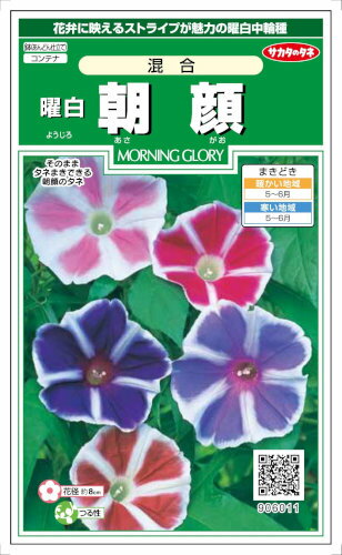サカタのタネ　朝顔　曜白混合　1ml【郵送対応】のサムネイル