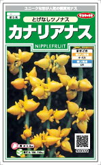 https://thumbnail.image.rakuten.co.jp/@0_mall/nikkoseed/cabinet/seeds/ssk/imgrc0070851163.jpg