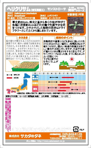 サカタのタネ　ヘリクリサム モンストローサ（帝王貝細工）　0.8ml【郵送対応】